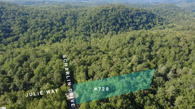 $39,000 | 728 Scharlin Drive, Pickens, SC 29671