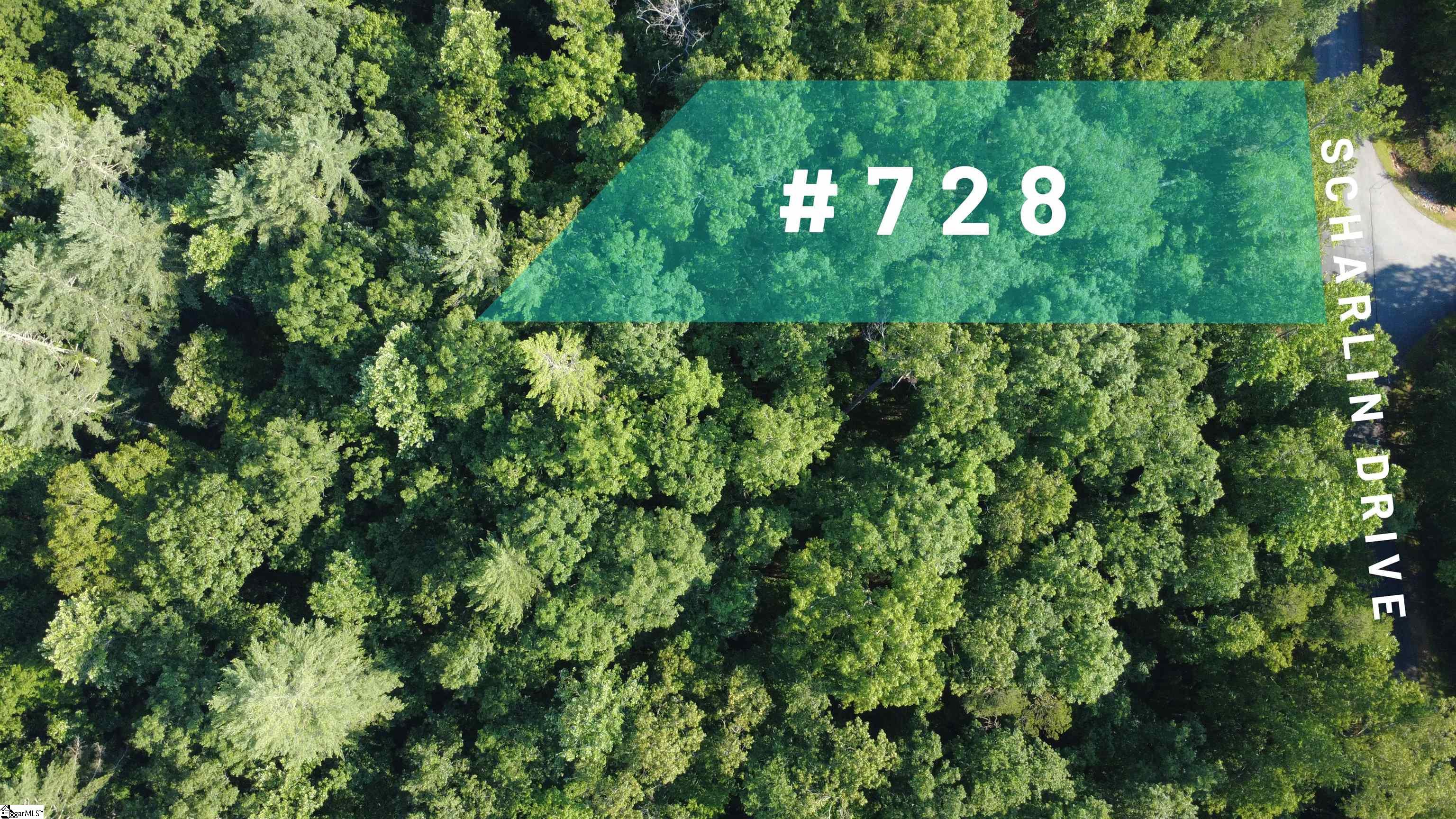 728 Scharlin Drive Pickens, SC 29671 - Photo 4 of 30