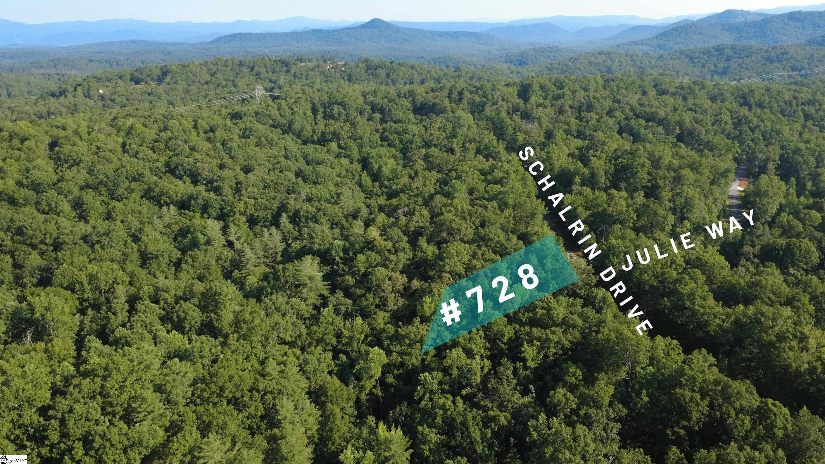 728 Scharlin Drive Pickens, SC 29671 - Photo 5 of 30