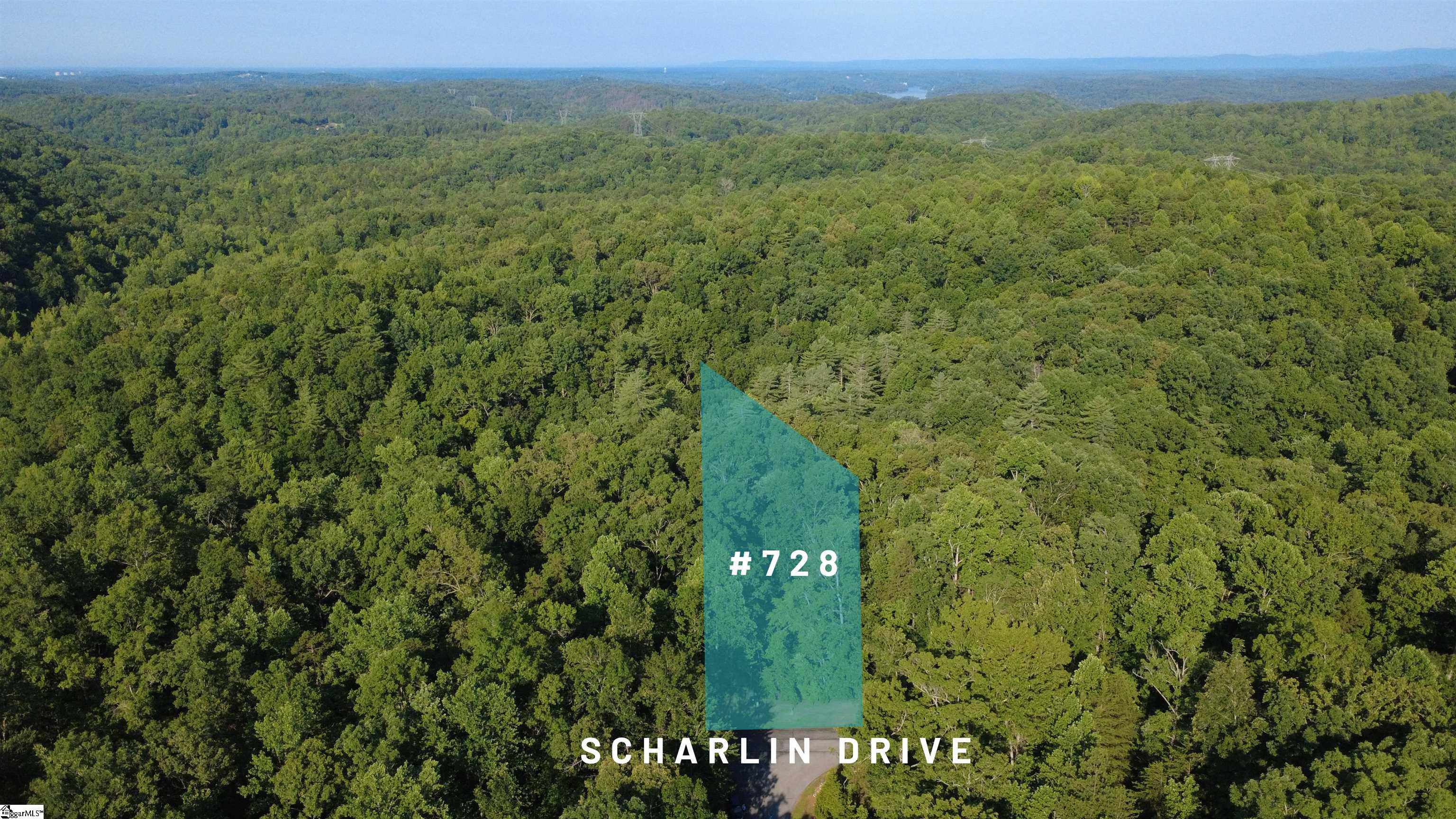 728 Scharlin Drive Pickens, SC 29671 - Photo 9 of 30