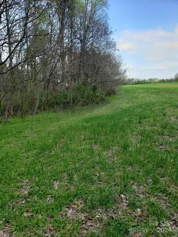 a view of a lush green space