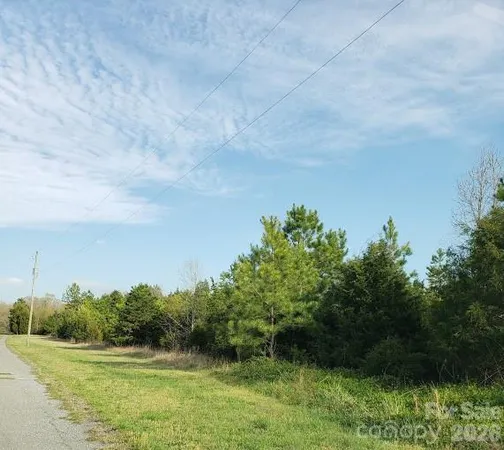 a view of a grassy area with an trees