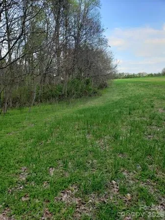 a view of a lush green space