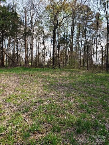 0 Deal Road Mooresville, NC 28115 - Photo 12 of 46 a view of a field with trees in the background