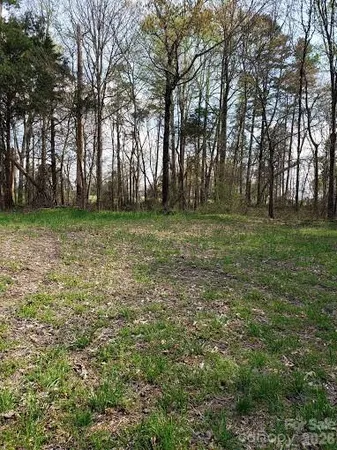 a view of a field with trees in the background