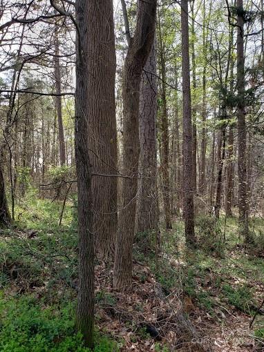 0 Deal Road Mooresville, NC 28115 - Photo 14 of 46 a backyard of a house with lots of green space