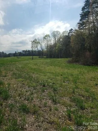 a view of backyard with green space