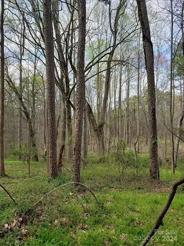 a view of backyard with green space