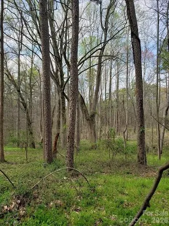 a view of a backyard of the house