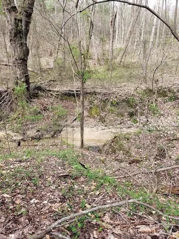 a view of a backyard of the house