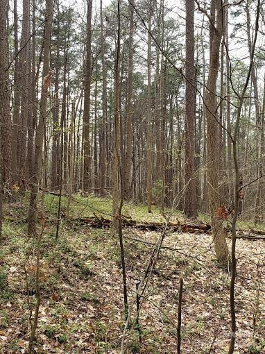 0 Deal Road Mooresville, NC 28115 - Photo 18 of 46 a view of a backyard of the house