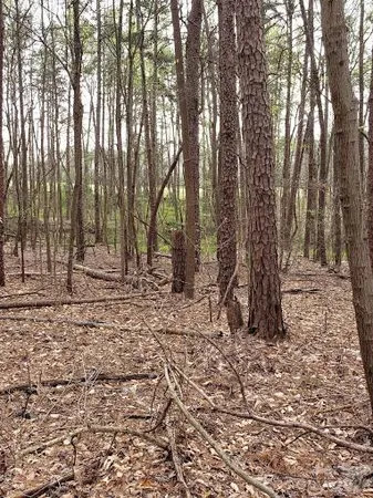 a backyard of a house with lots of trees