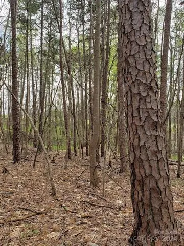 a backyard of a house with lawn chairs and wooden fence