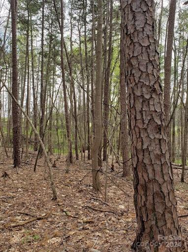 0 Deal Road Mooresville, NC 28115 - Photo 22 of 46 a backyard of a house with lots of trees
