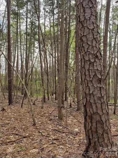 0 Deal Road Mooresville, NC 28115 - Photo 23 of 45 a backyard of a house with lots of trees