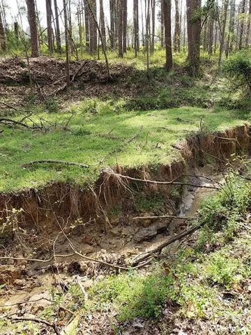 a backyard of a house with a yard and outdoor seating