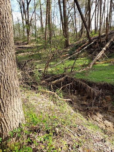 0 Deal Road Mooresville, NC 28115 - Photo 30 of 46 a backyard of a house with a yard and outdoor seating
