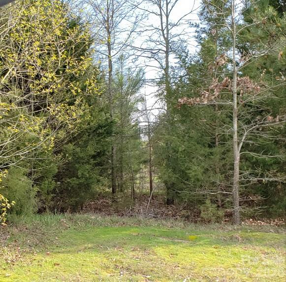 0 Deal Road Mooresville, NC 28115 - Photo 37 of 45