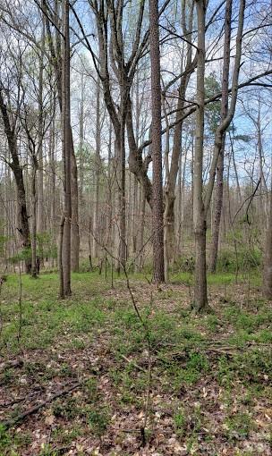 0 Deal Road Mooresville, NC 28115 - Photo 38 of 45 a big yard with lots of green space and trees