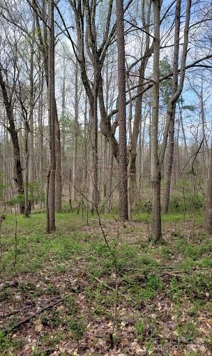 0 Deal Road Mooresville, NC 28115 - Photo 38 of 46 a big yard with lots of green space and trees