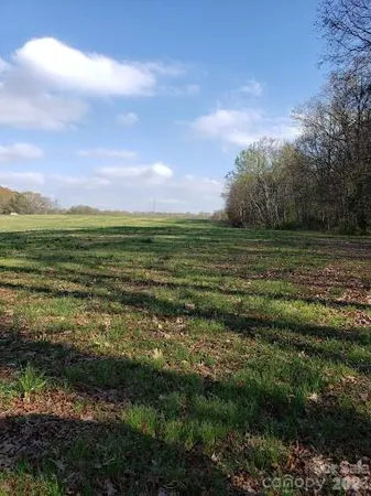a view of a field with an ocean