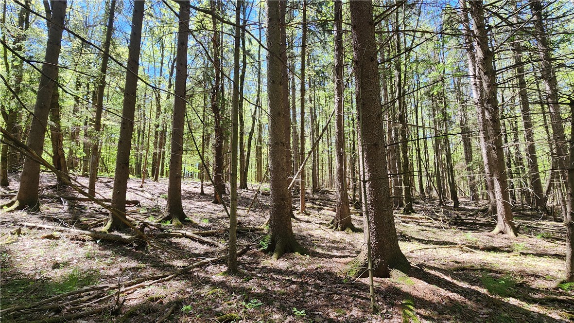 Wood Hill Road Naples, NY 14512 - Photo 13 of 26