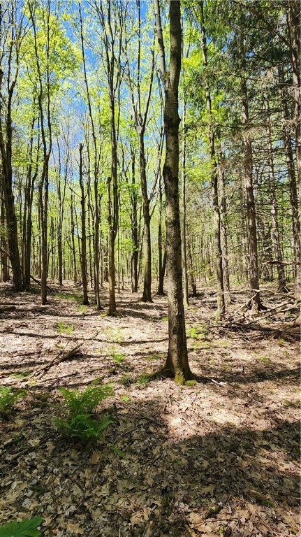 Wood Hill Road Naples, NY 14512 - Photo 14 of 26