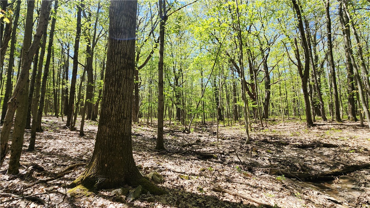 Wood Hill Road Naples, NY 14512 - Photo 15 of 26