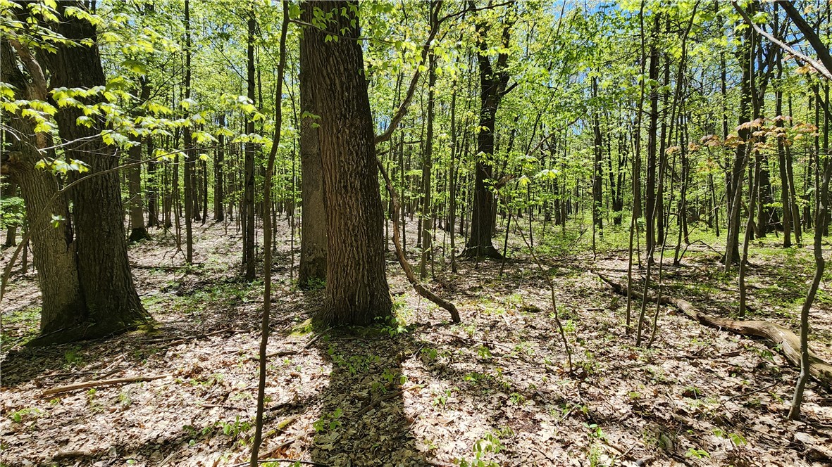 Wood Hill Road Naples, NY 14512 - Photo 17 of 26