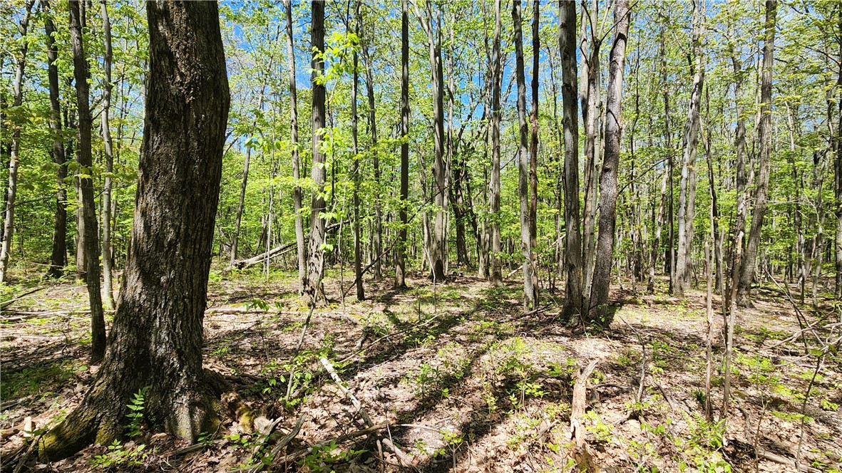 Wood Hill Road Naples, NY 14512 - Photo 18 of 26