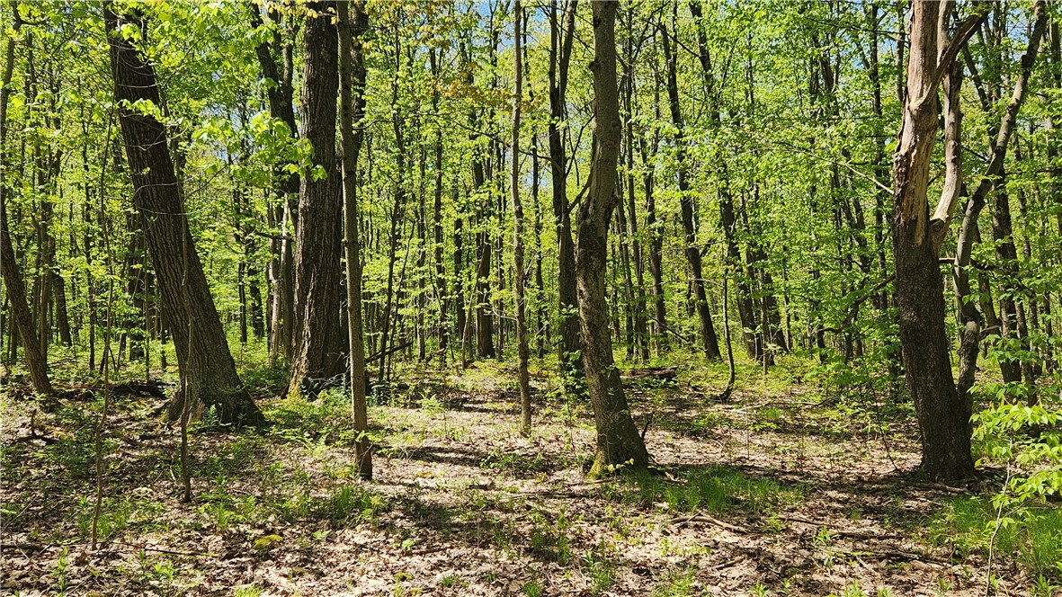 Wood Hill Road Naples, NY 14512 - Photo 20 of 26