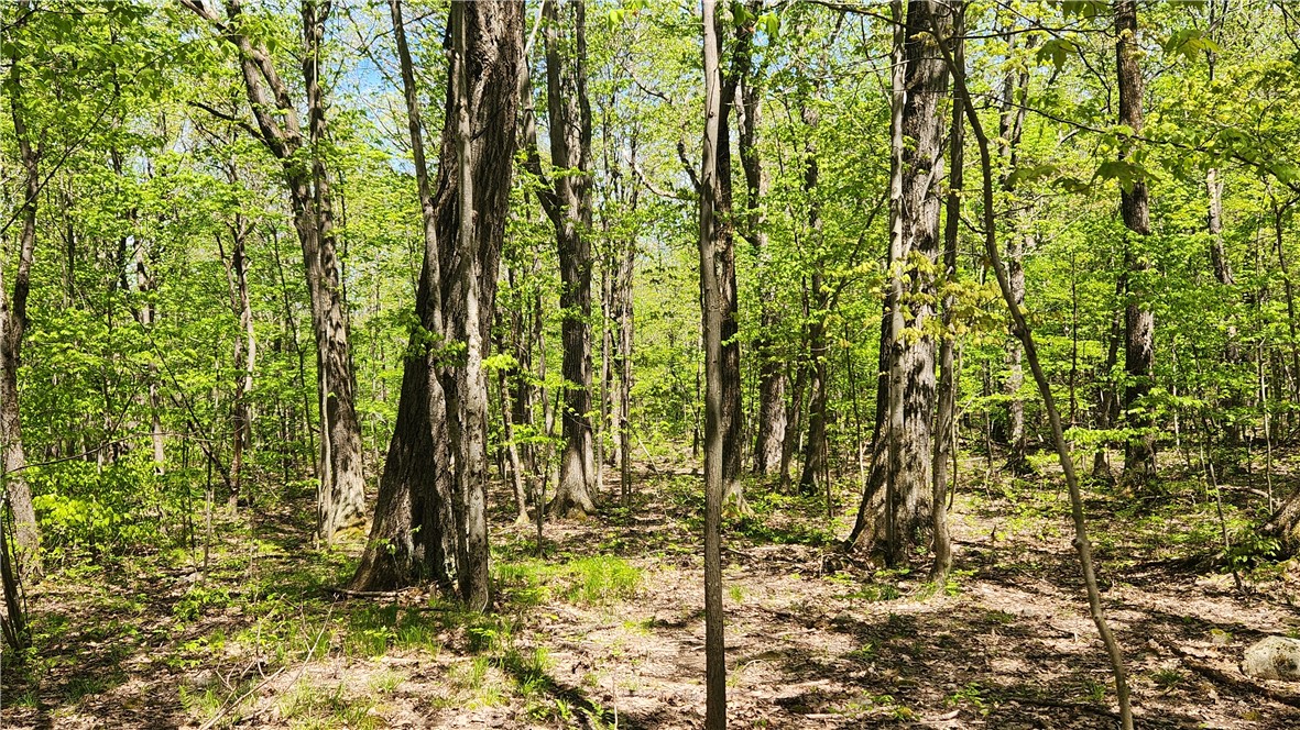 Wood Hill Road Naples, NY 14512 - Photo 21 of 26