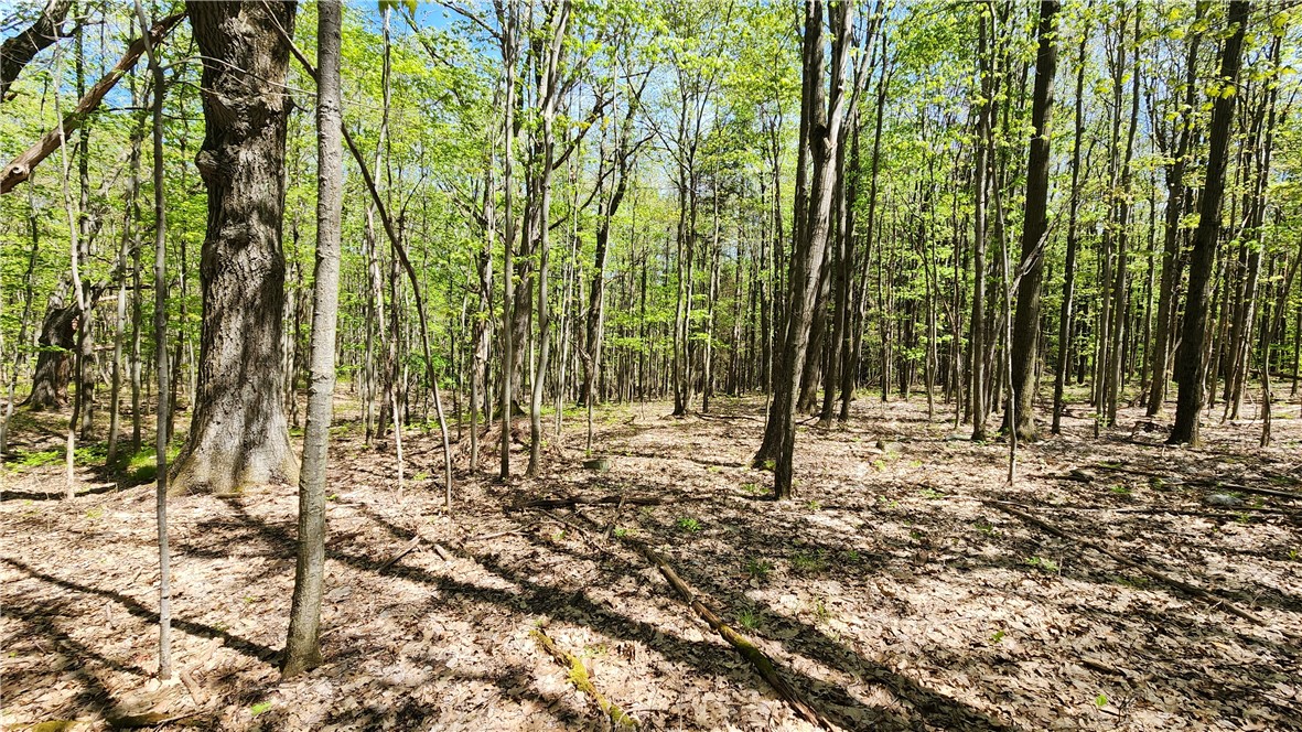 Wood Hill Road Naples, NY 14512 - Photo 23 of 26