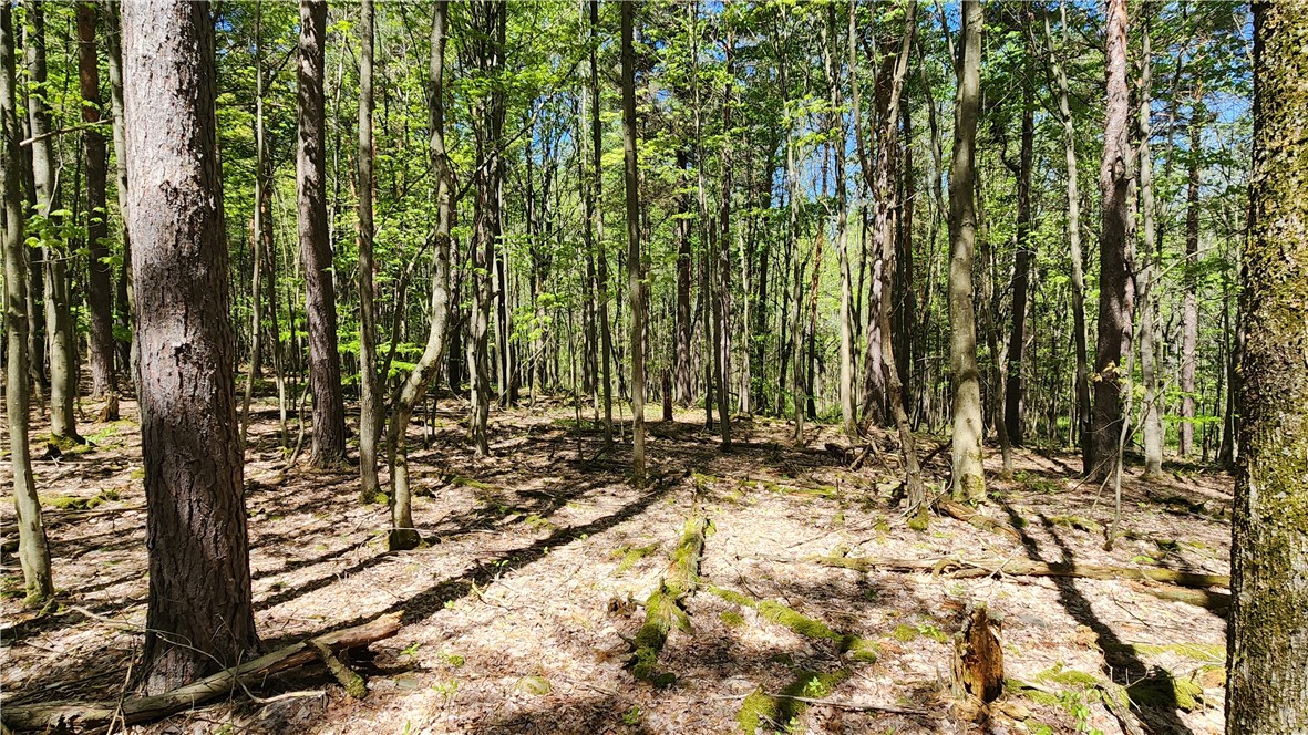 Wood Hill Road Naples, NY 14512 - Photo 5 of 26