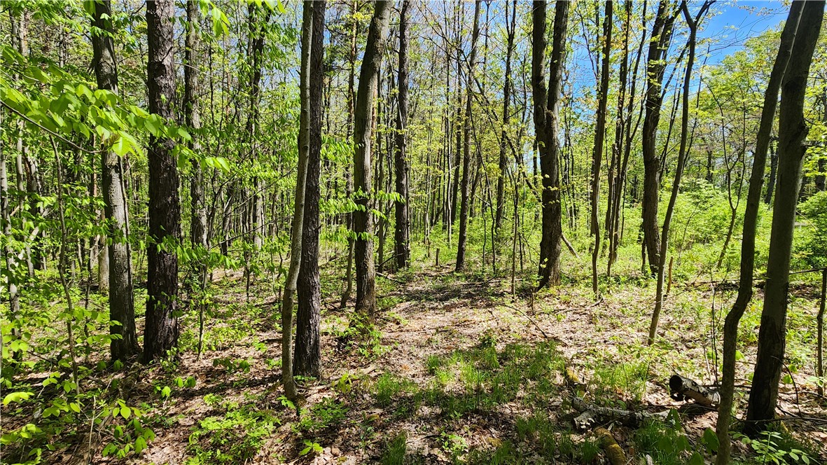 Wood Hill Road Naples, NY 14512 - Photo 7 of 26