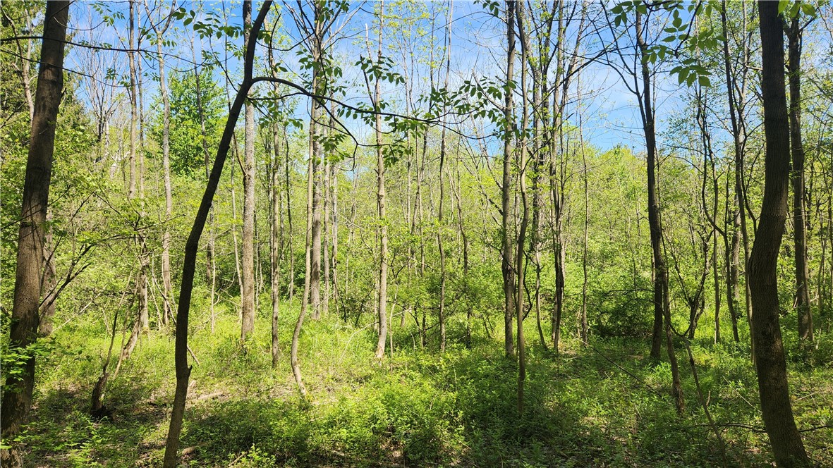 Wood Hill Road Naples, NY 14512 - Photo 9 of 26