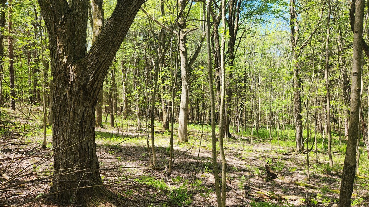 Wood Hill Road Naples, NY 14512 - Photo 10 of 26