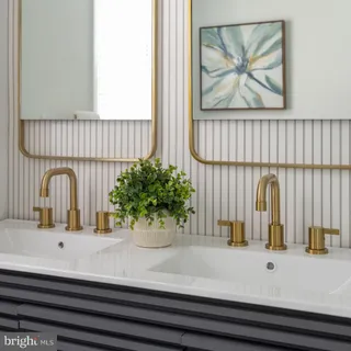 a closeup of a sink with a potted plant on it