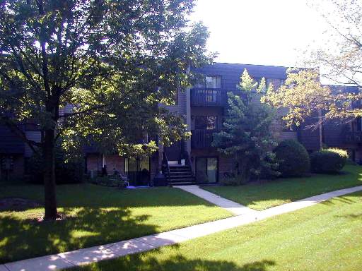 1424 Stonebridge Circle, Unit L6 Wheaton, IL 60189 - Photo 1 of 1 a view of a yard with plants and a large tree