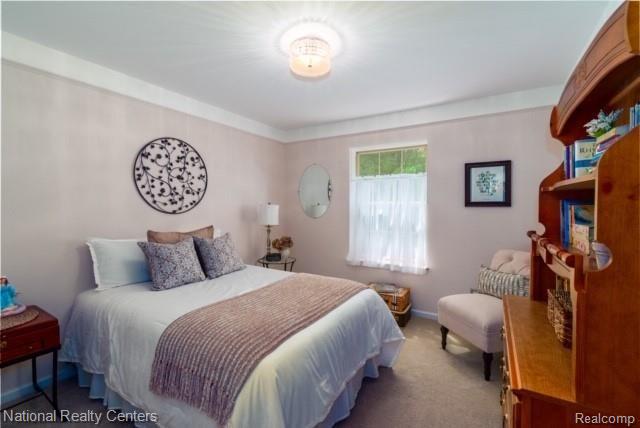 4625 Richardson Road Howell, MI 48843 - Photo 10 of 24 4625 Richardson.jpg-17