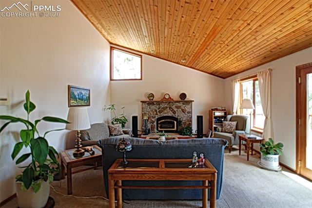 956 Bristlecone Road Guffey, CO 80820 - Photo 8 of 17 Gallery Image 8