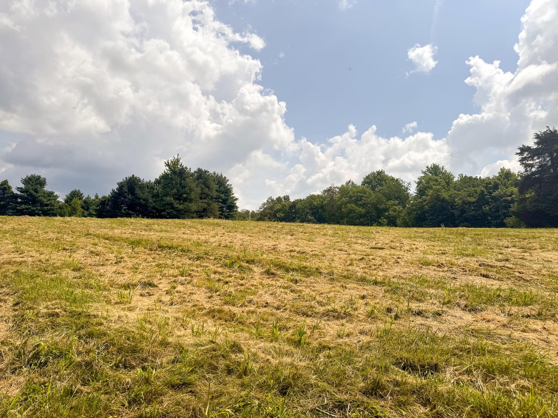 272 Golf Course Road, Unit TRACT 8 SKYLINEACRES) Waverly, OH 45690 - Photo 18 of 40 CT-18