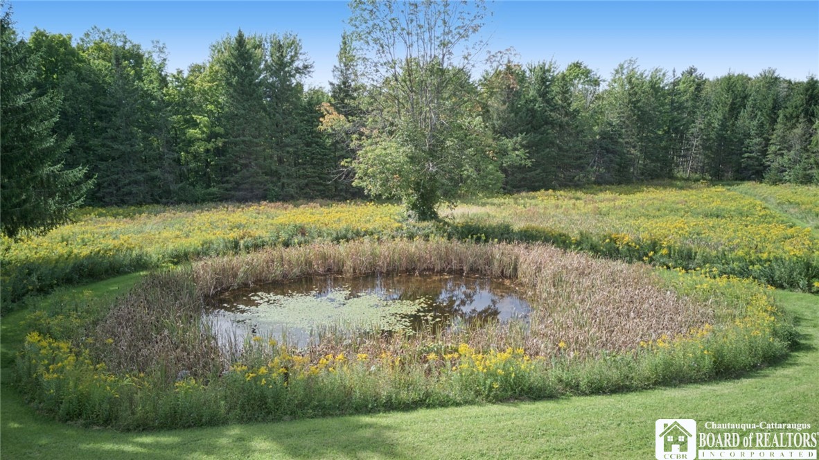 7607 Stateland Road New Albion, NY 14719 - Photo 35 of 44 Gallery Image 35