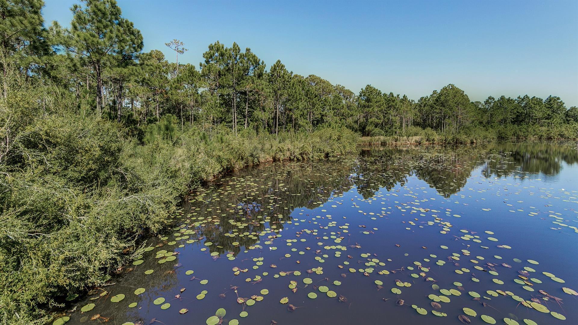 231 Somerset Bridge Road, Unit 2302 Santa Rosa Beach, FL 32459 - Photo 31 of 38 92045-h