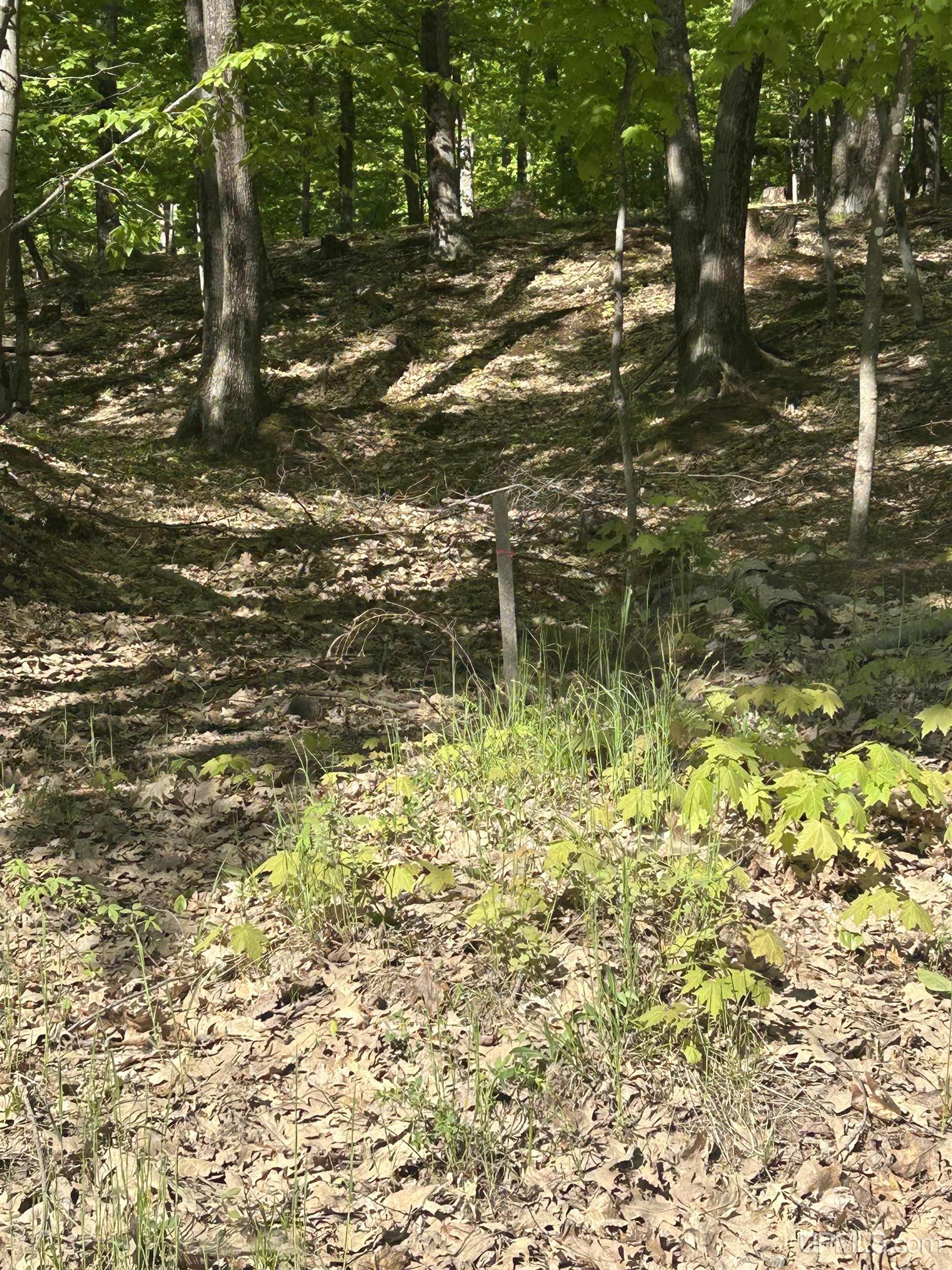 Tbd McClure Dm Road Negaunee, MI 49866 - Photo 11 of 16