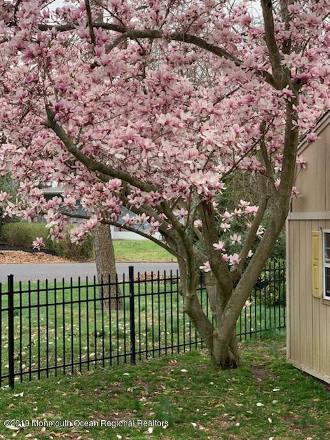 1304 Wedgewood Road Spring Lake, NJ 07762 - Photo 56 of 59 IMG959783