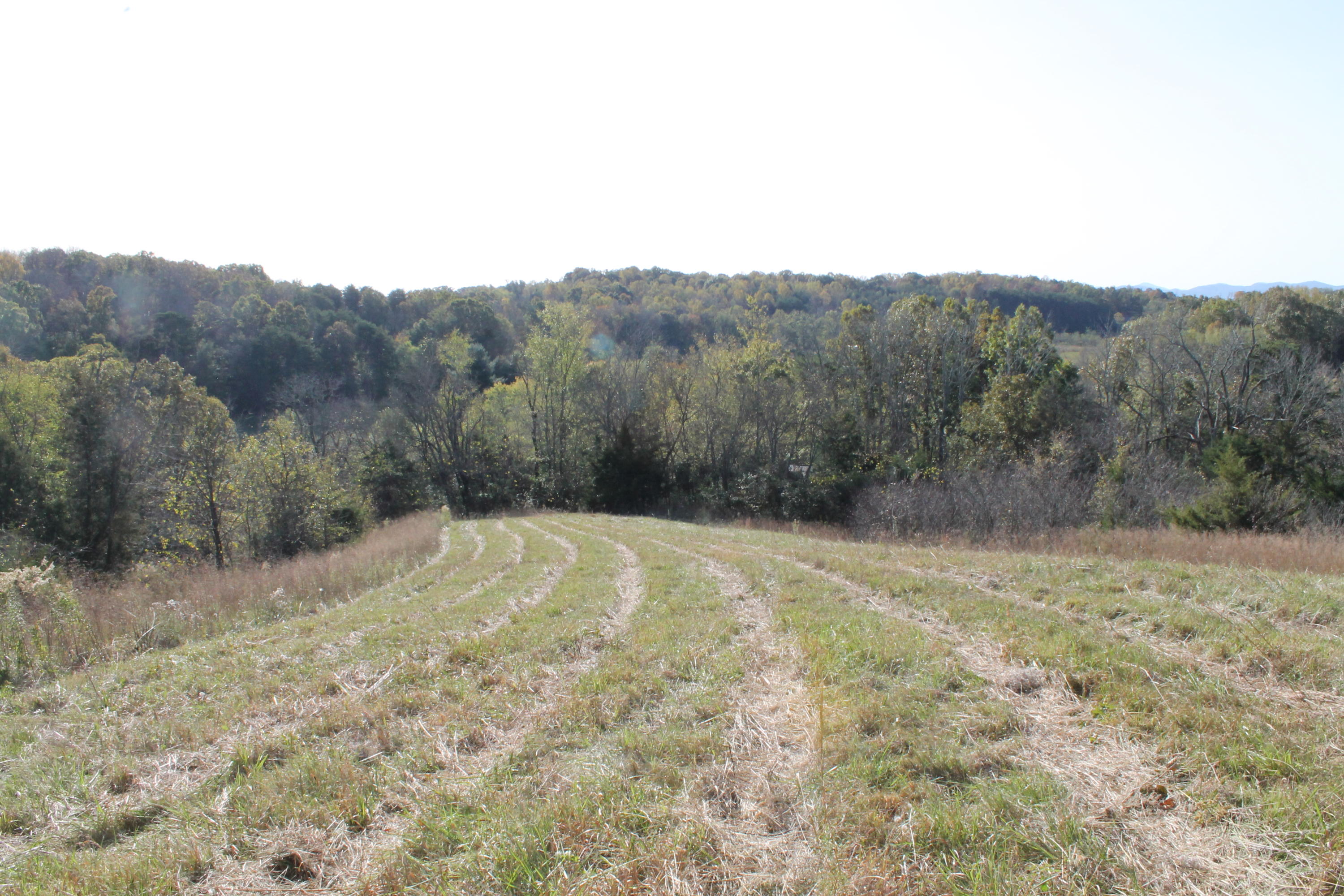 7.52-ac Rader Lane Greeneville, TN 37743 - Photo 1 of 13 IMG_9832