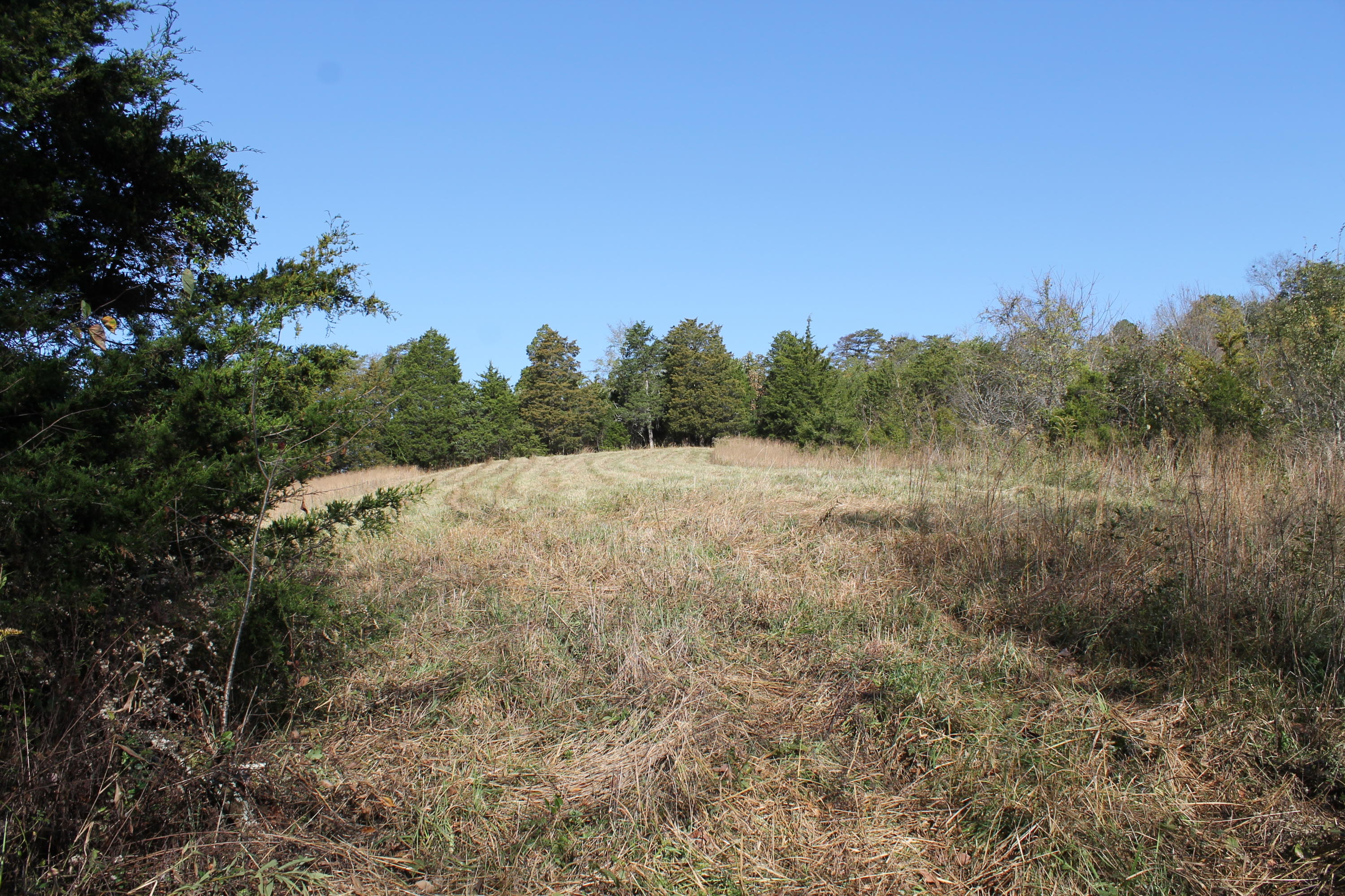 7.52-ac Rader Lane Greeneville, TN 37743 - Photo 11 of 13 IMG_9828