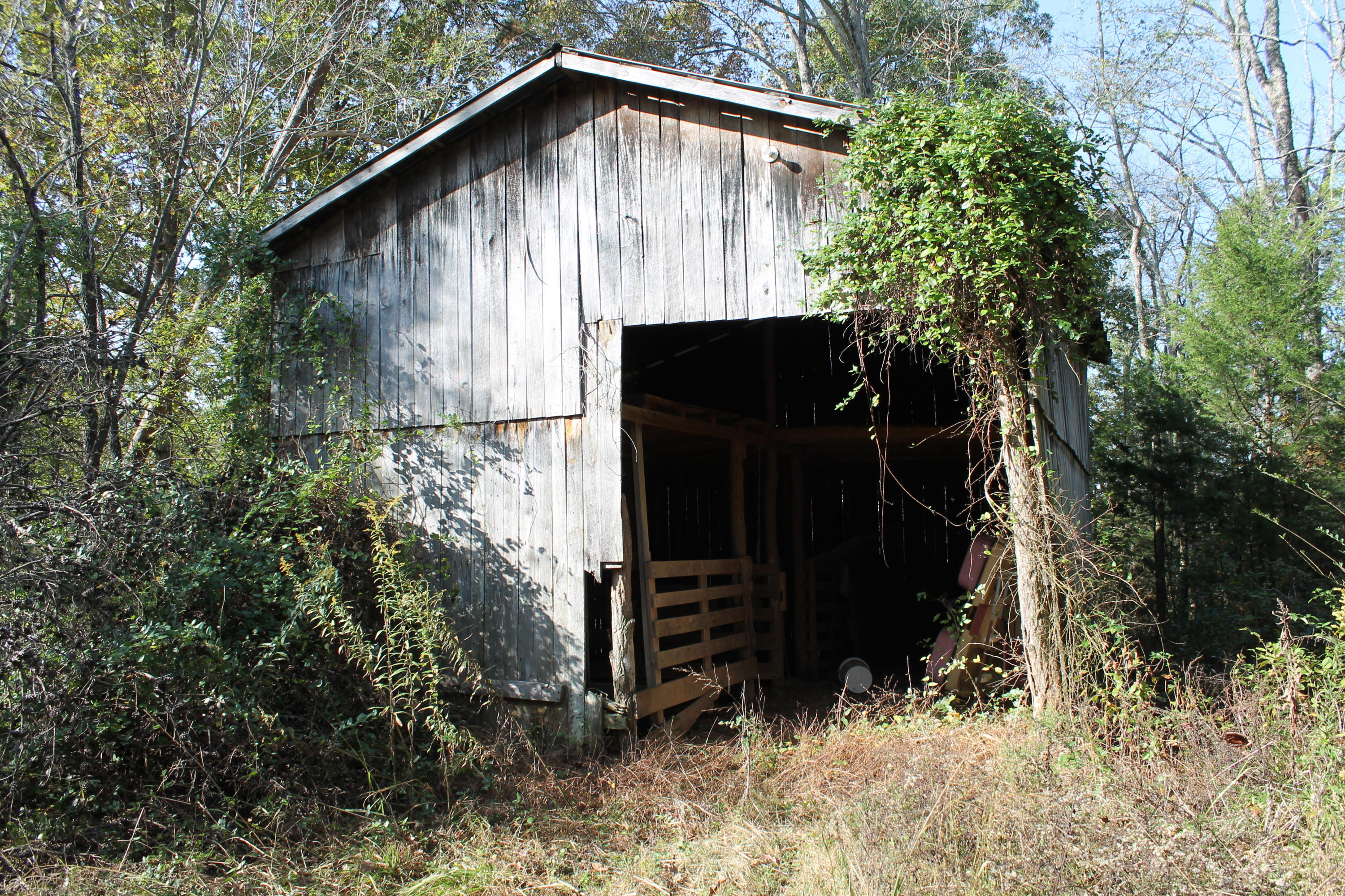 7.52-ac Rader Lane Greeneville, TN 37743 - Photo 2 of 13 IMG_9827