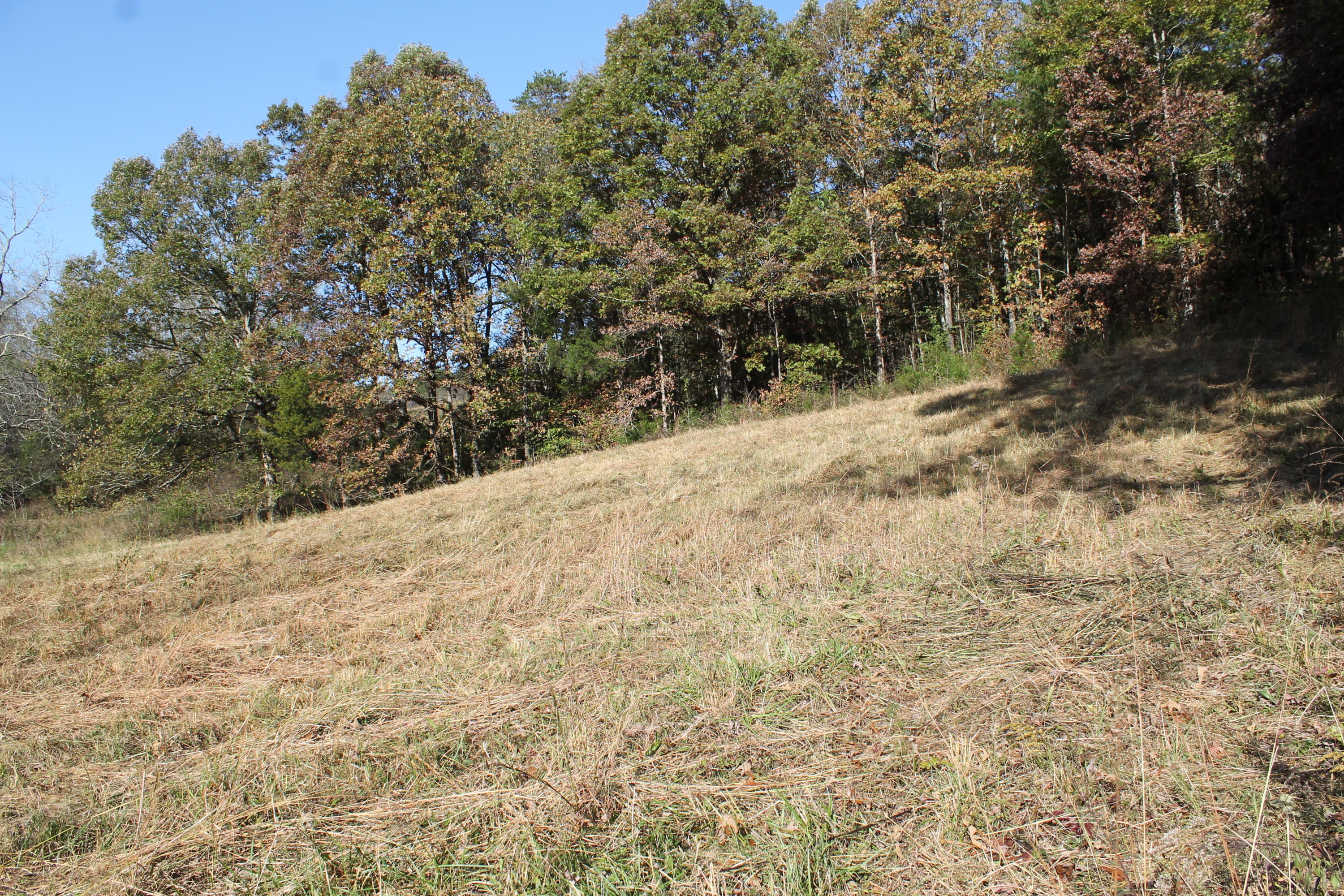 7.52-ac Rader Lane Greeneville, TN 37743 - Photo 5 of 13 IMG_9819